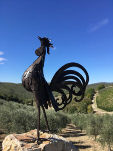 The Black Rooster of Chianti