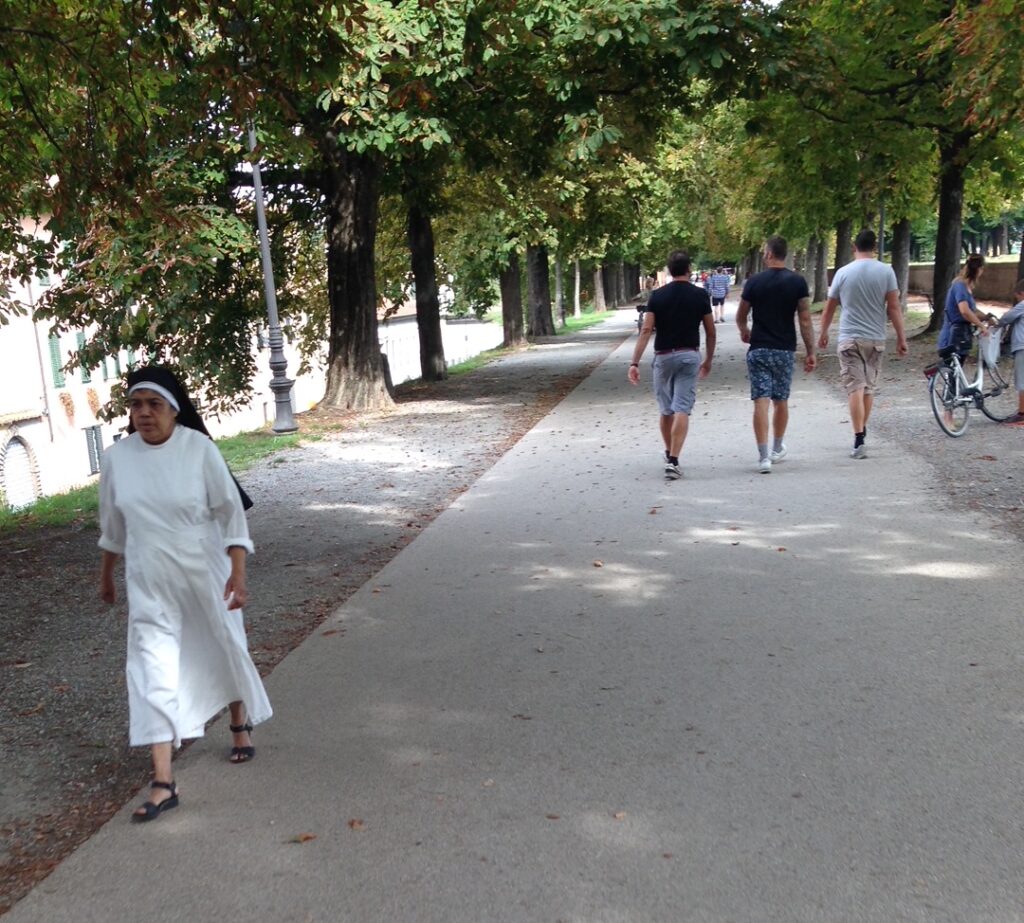 Day Trip To Lucca From Florence - Lucca Wall Path