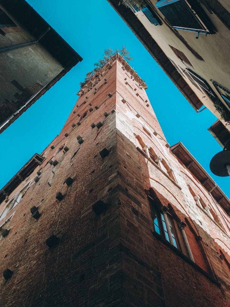 Guinigi Tower, Lucca