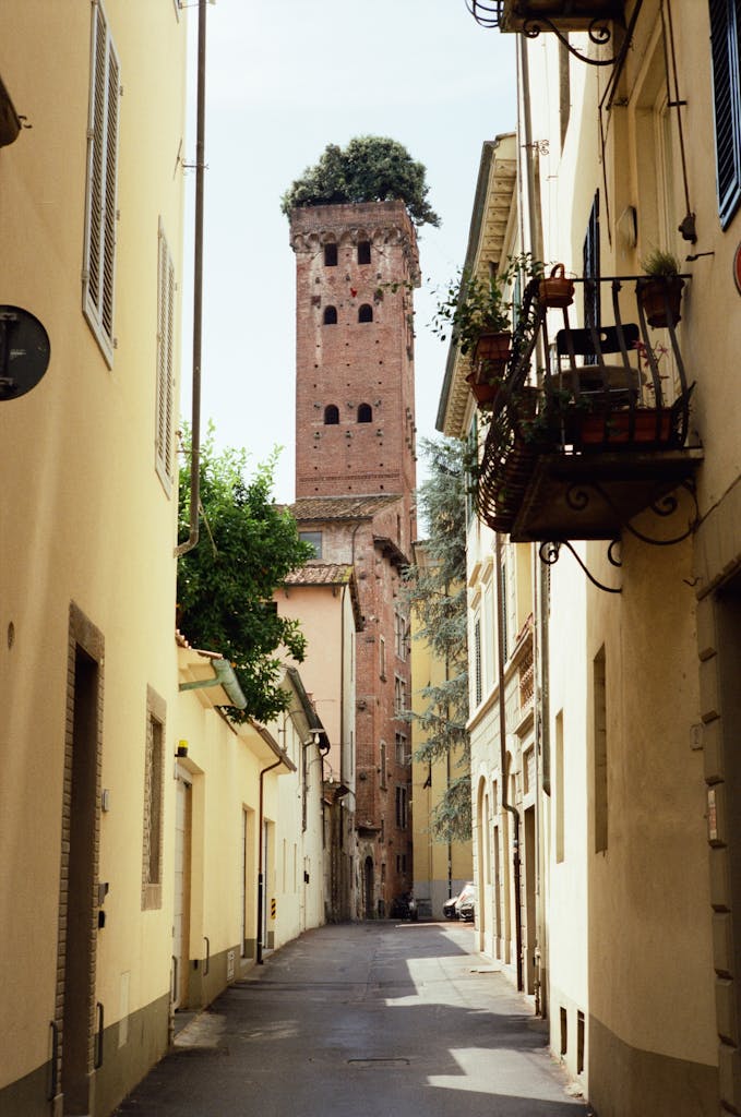 A picturesque narrow street view leading to Lucca's iconic Torre Guinigi adorned with trees on its roof.