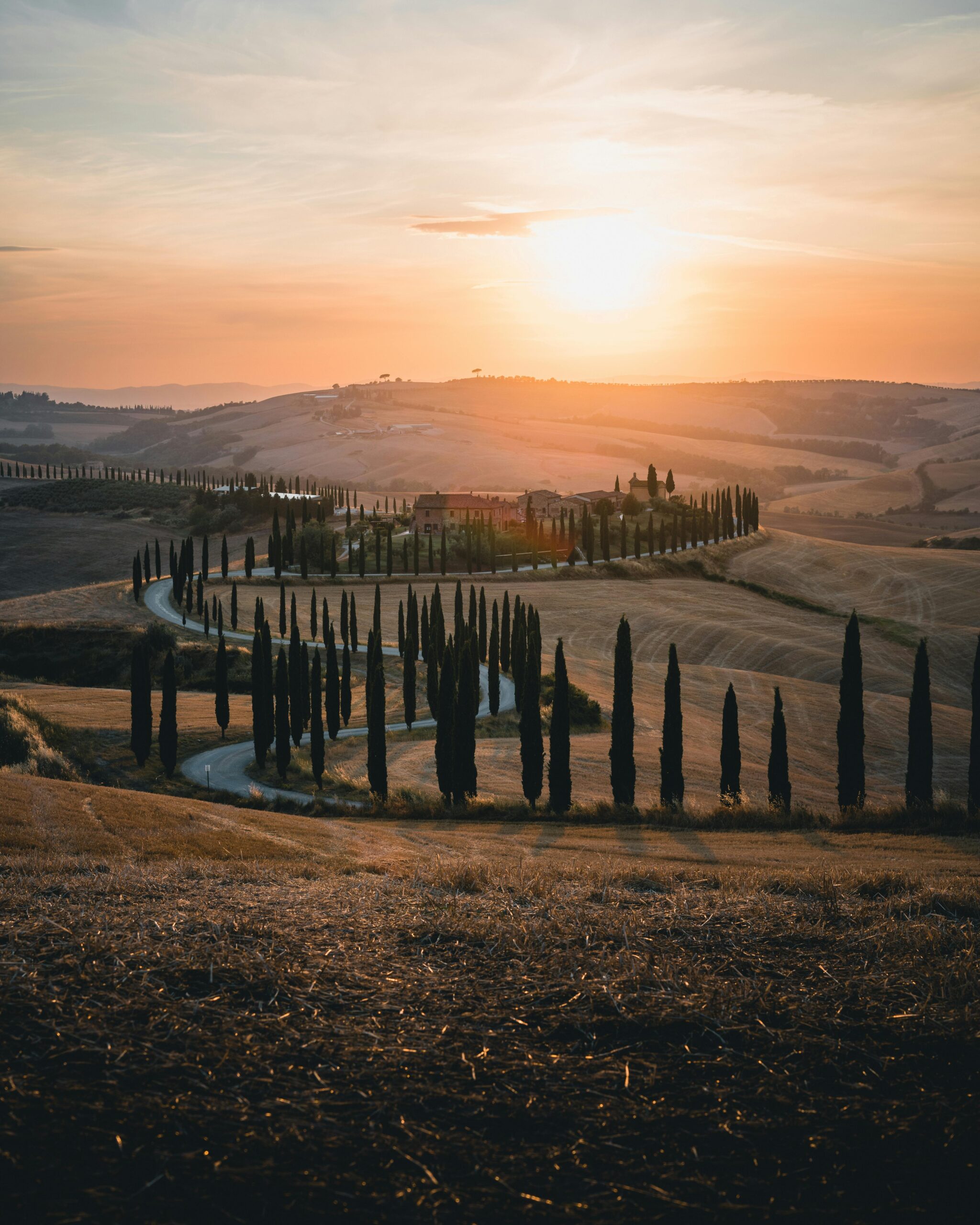 Golden hour light over rolling Tuscan hills and cypress trees